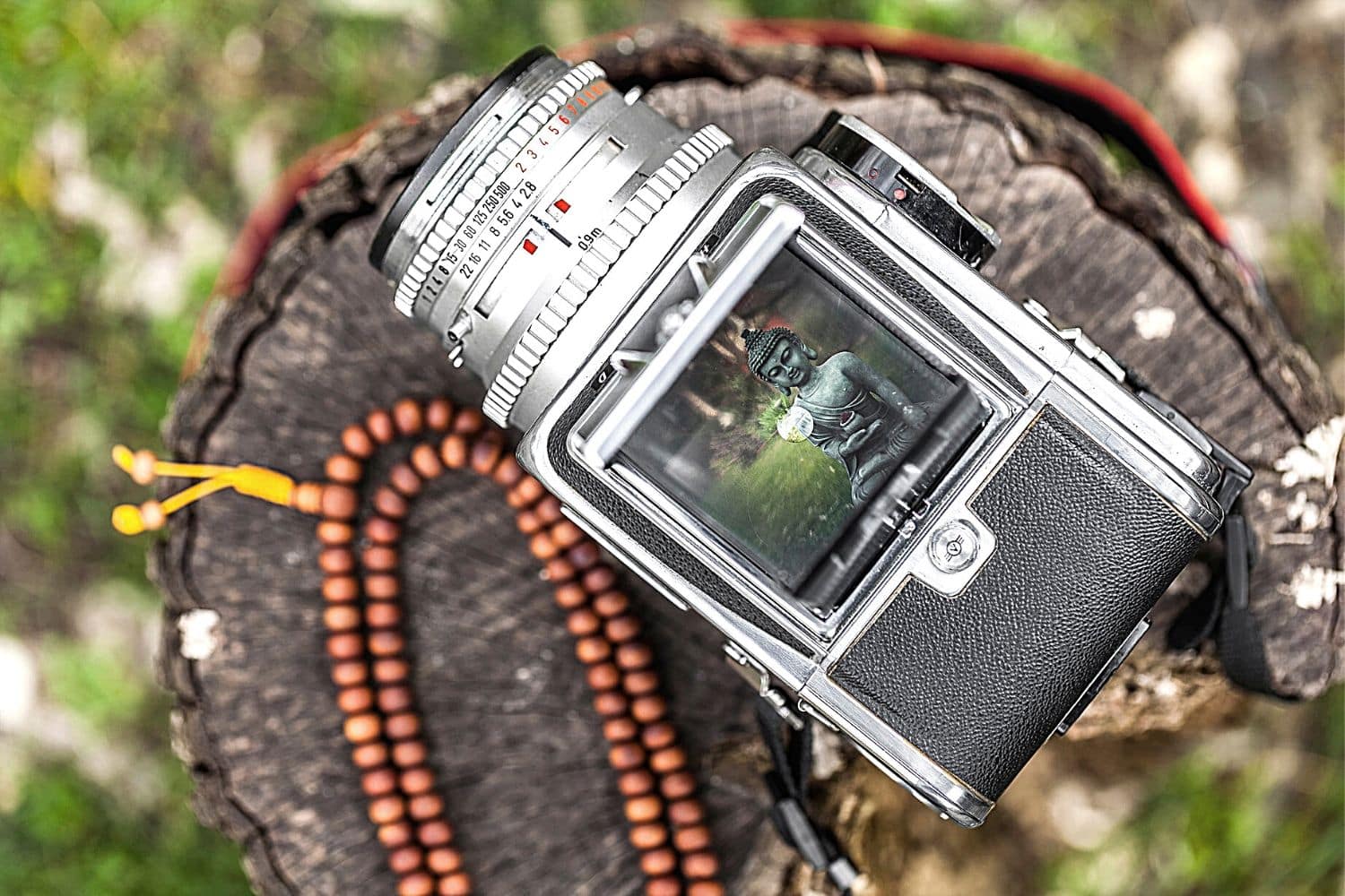 Hasselblad 500C M Review in 2025 - Medium Format Film Camera